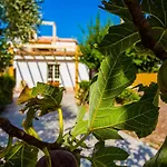 Casa Dei Carrubi