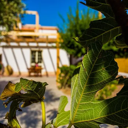Guest house Casa Dei Carrubi *