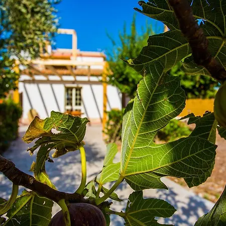 Casa Dei Carrubi