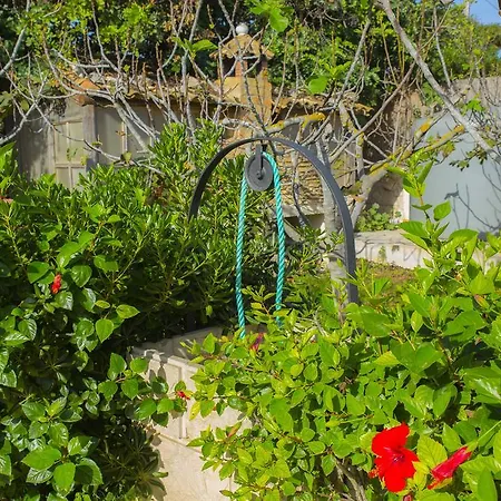 Guest house Casa Dei Carrubi *