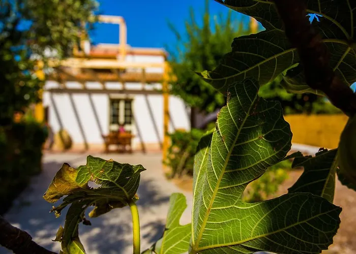 בית הארחה Casa Dei Carrubi 4*
