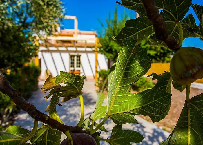 Casa Dei Carrubi